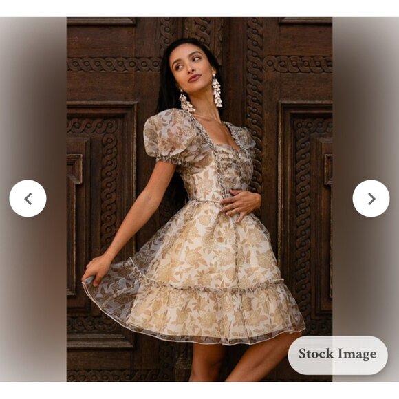 Joyfolie perla dress in neutral Floral Puff Sleeve Mini Beige & Brown Size Large - Picture 2 of 15